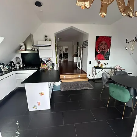 Luxurioese Altbauvilla Im Herzen Breisachs