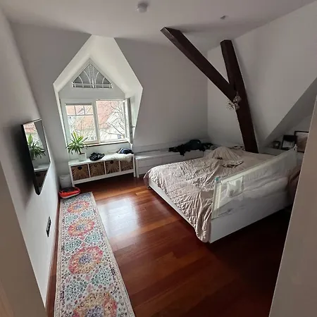 Luxurioese Altbauvilla Im Herzen Breisachs 아파트