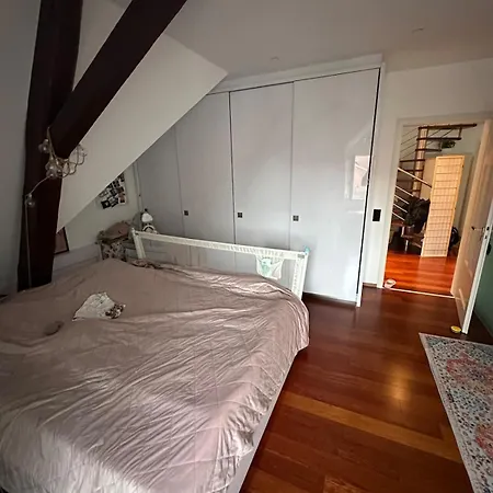 아파트 Luxurioese Altbauvilla Im Herzen Breisachs 브라이사흐암라인
