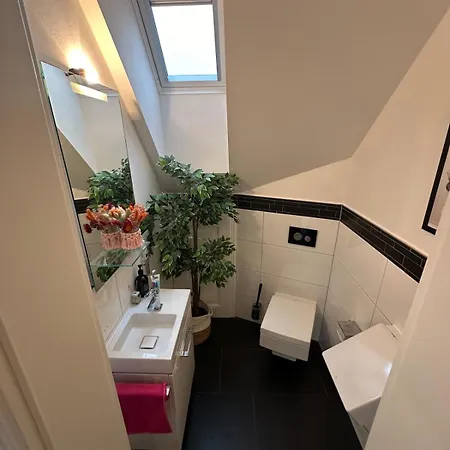 Luxurioese Altbauvilla Im Herzen Breisachs 아파트 브라이사흐암라인