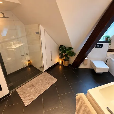 Luxurioese Altbauvilla Im Herzen Breisachs Breisach